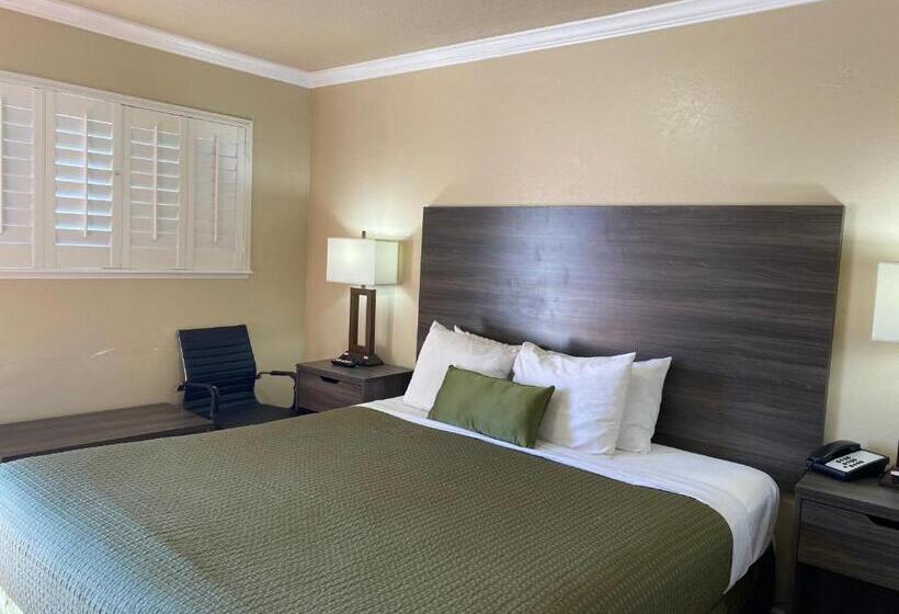 스탠다드 룸, Holland Inn & Suites