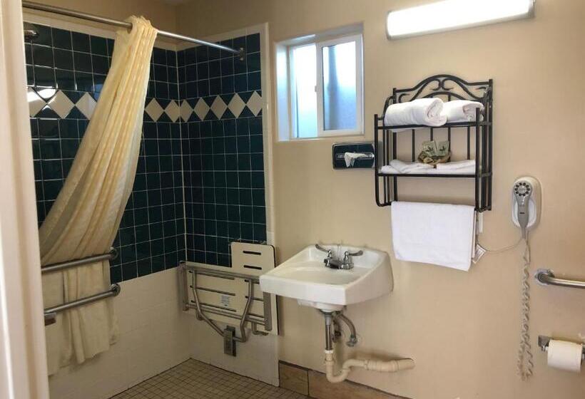 장애인을 위한 스탠다드 룸, Holland Inn & Suites