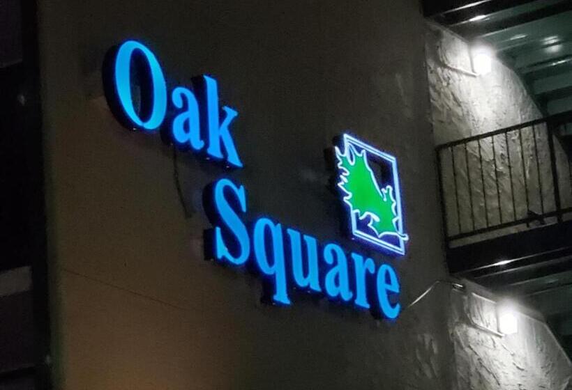 شقة غرفة واحدة, Oak Square 309