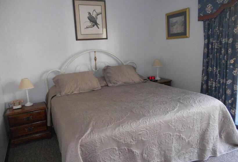 شقة غرفة واحدة, Oak Square 309