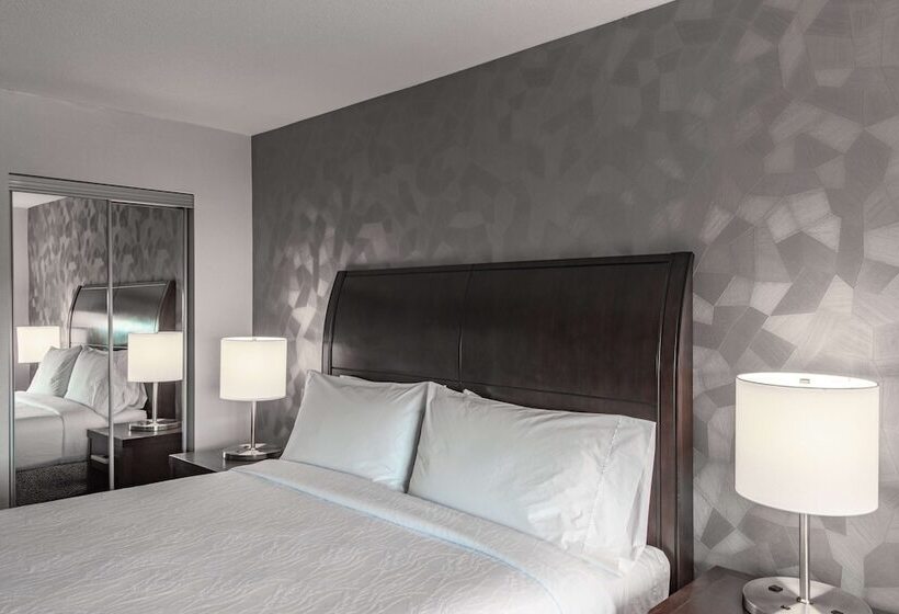 장애인을 위한 스탠다드 룸, Hilton Garden Inn Bethesda Downtown