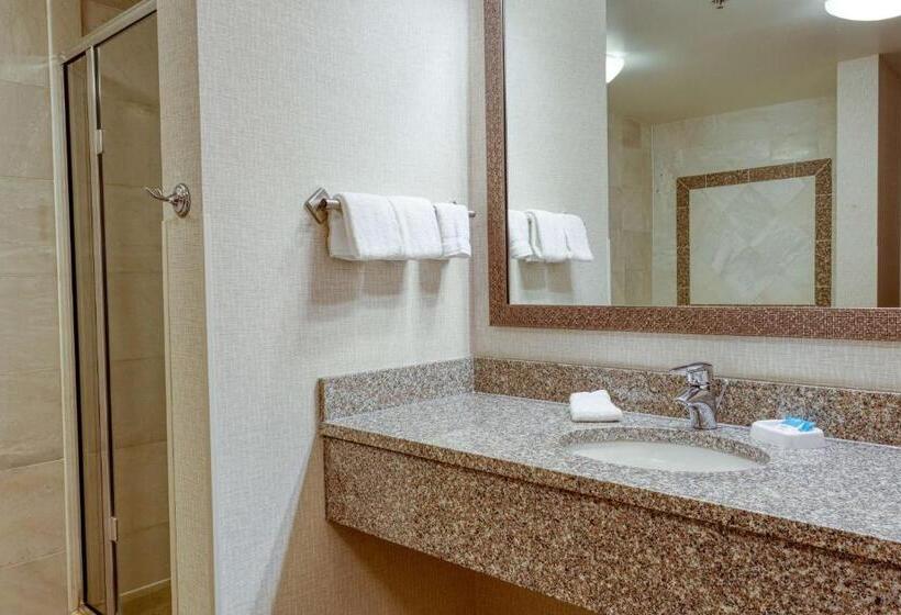 Suite Kingsize Bett, Drury Inn & Suites Indianapolis Northeast