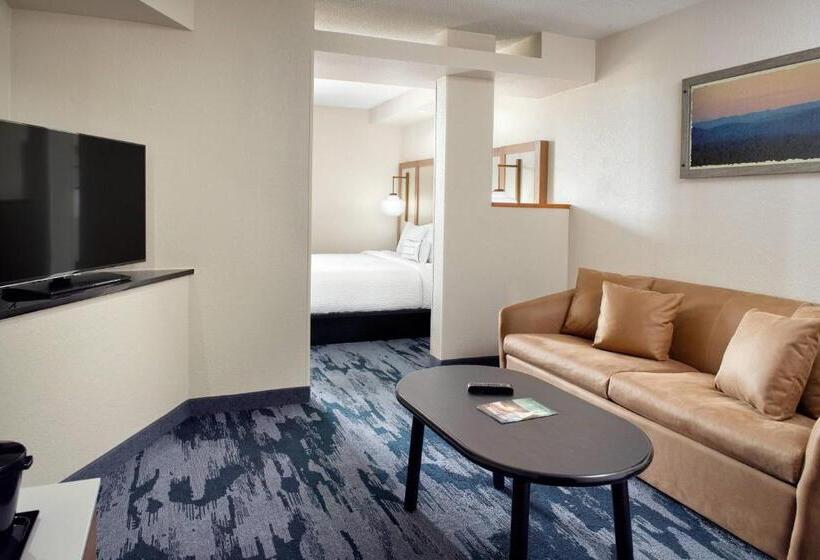 Студио Стандарт Кровать Кинг, Fairfield By Marriott Inn & Suites Asheville Outlets