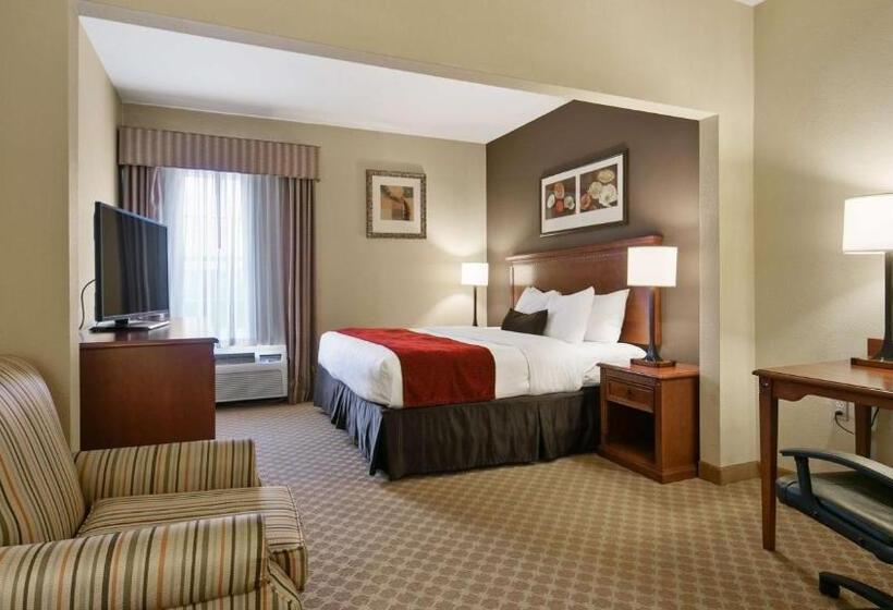 스탠다드 룸 킹사이즈 침대, Best Western Plus Georgetown Inn & Suites