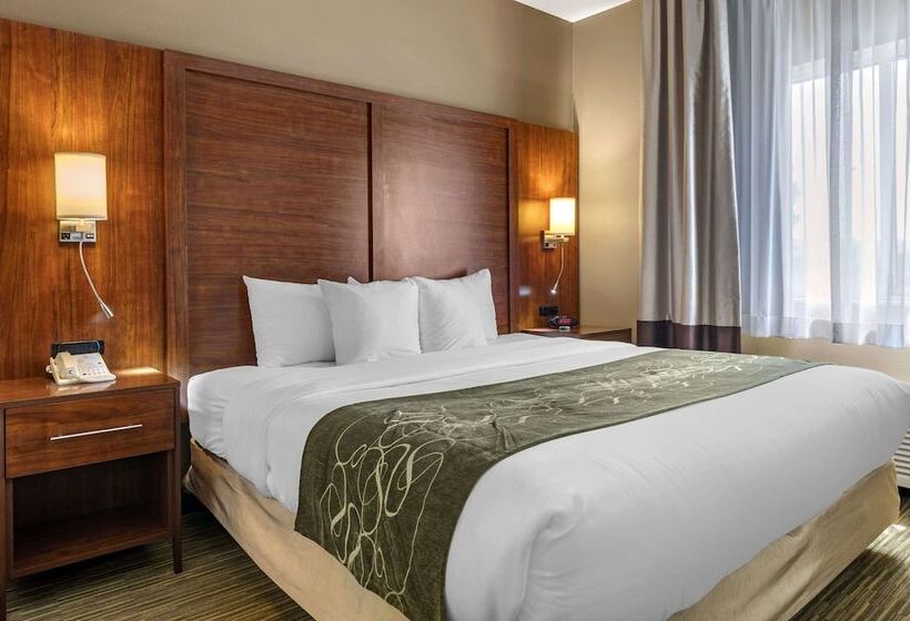 سوییت, Comfort Suites North