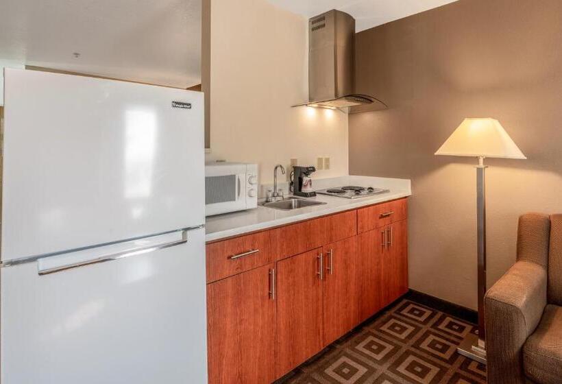 اتاق استاندارد با تخت بزرگ, Red Lion Inn & Suites Kennewick Tri Cities