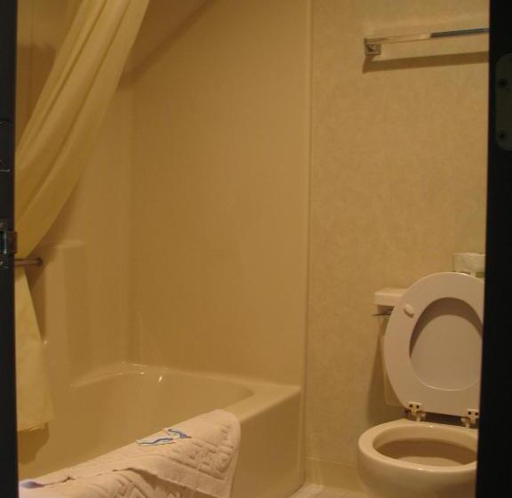 Номер Стандарт Индивидуальный Кровать Кинг, Great Lakes Inn