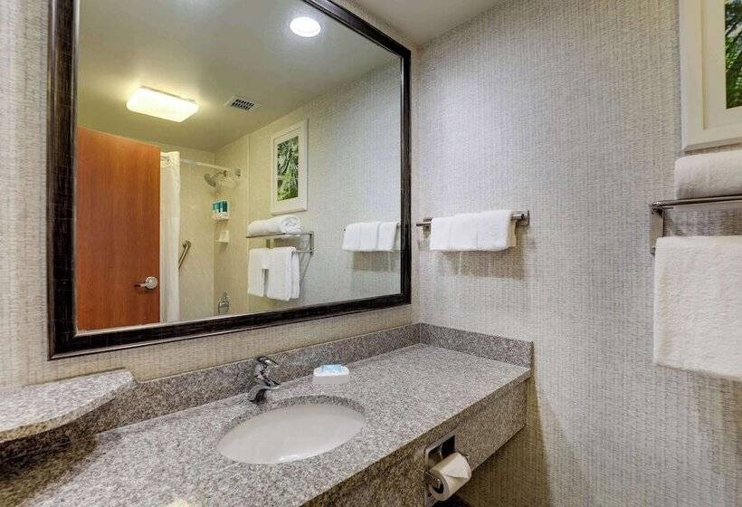 디럭스 룸, Drury Inn & Suites Montgomery