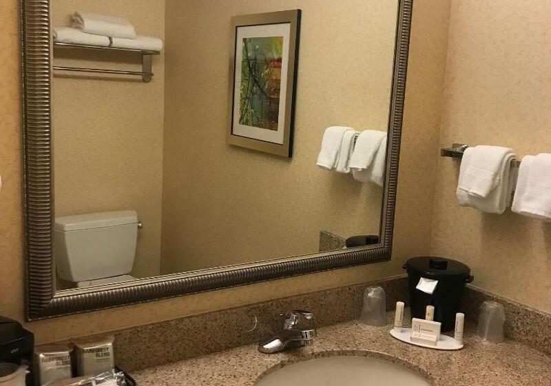 스탠다드 룸 킹사이즈 침대, Fairfield Inn And Suites Sacramento Airport Natomas