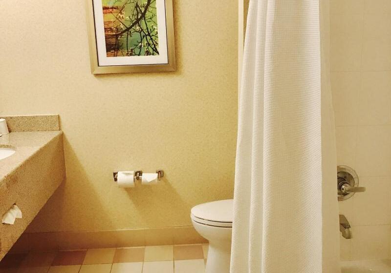 キングサイズベッドのスタンダードルーム, Fairfield Inn And Suites Sacramento Airport Natomas