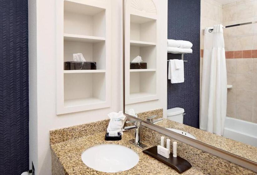 스탠다드 룸 킹사이즈 침대, Fairfield Inn & Suites San Angelo