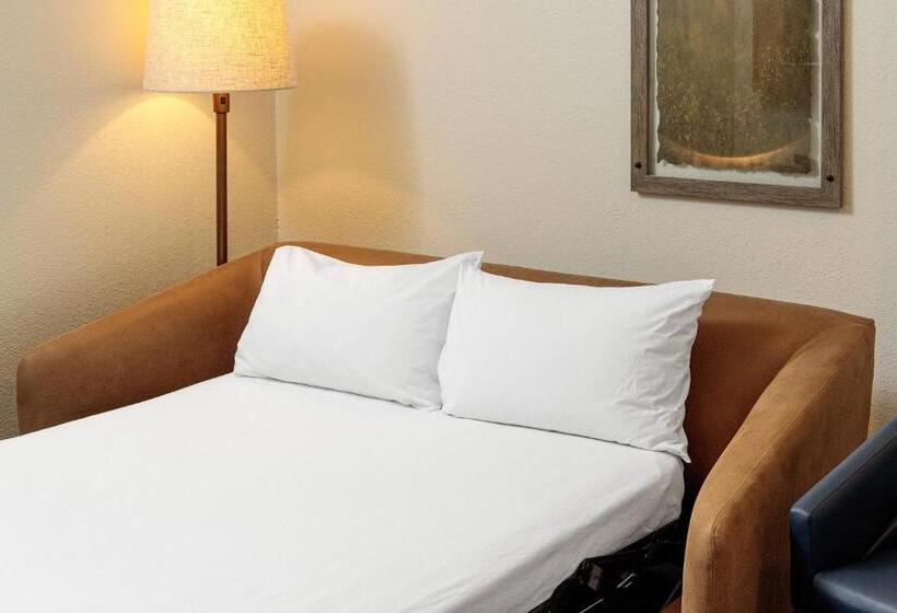 스위트, Fairfield Inn & Suites San Angelo
