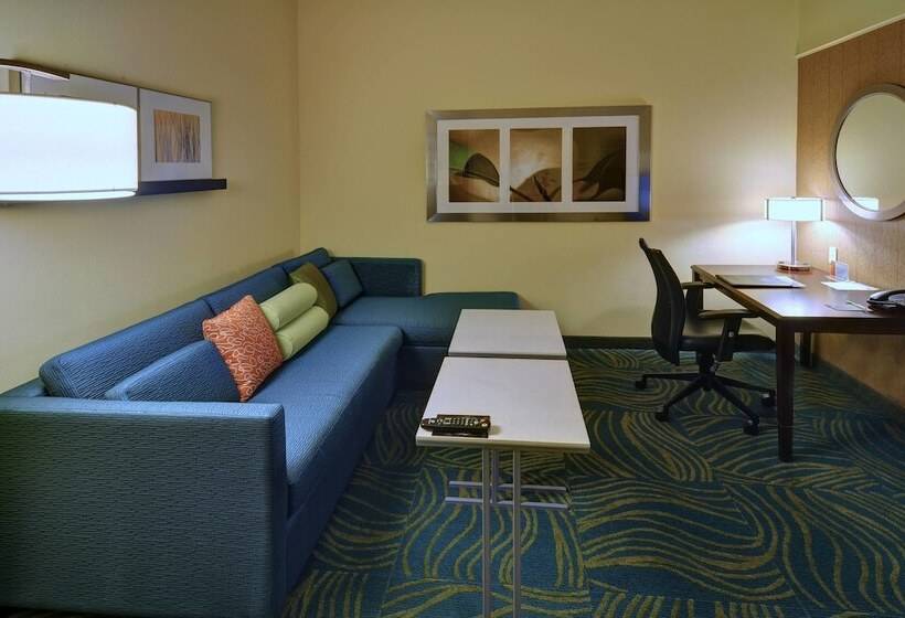 Люкс, Springhill Suites By Marriott Dallas Dfw Airport East Las Colinas Irving