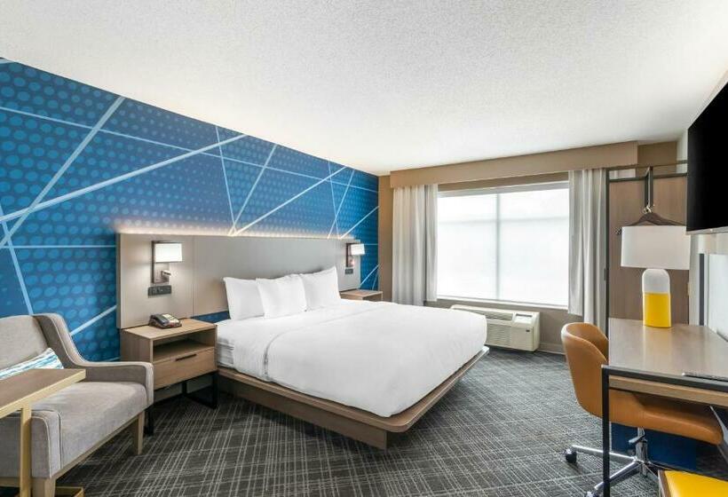 스탠다드 룸 킹사이즈 침대, Comfort Inn & Suites Hampton Near Coliseum