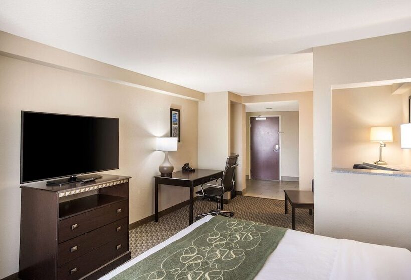 스위트, Comfort Suites Forsyth Near I75