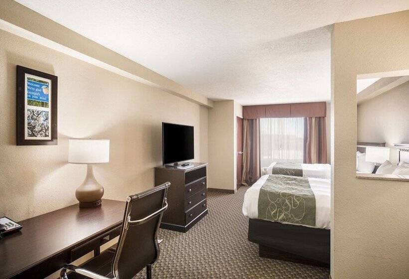 스위트, Comfort Suites Forsyth Near I75