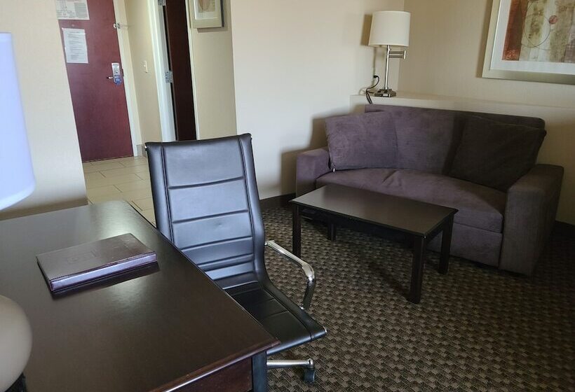 장애인을 위한 스위트, Comfort Suites Forsyth Near I75