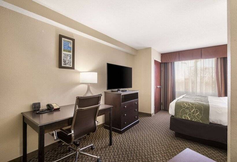 장애인을 위한 스위트, Comfort Suites Forsyth Near I75
