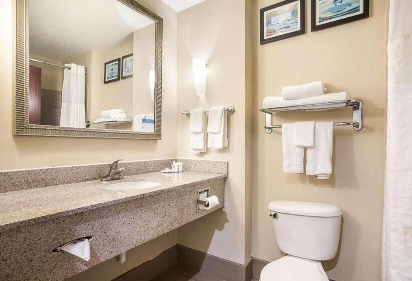 스위트 킹사이즈 침대, Comfort Suites Forsyth Near I75