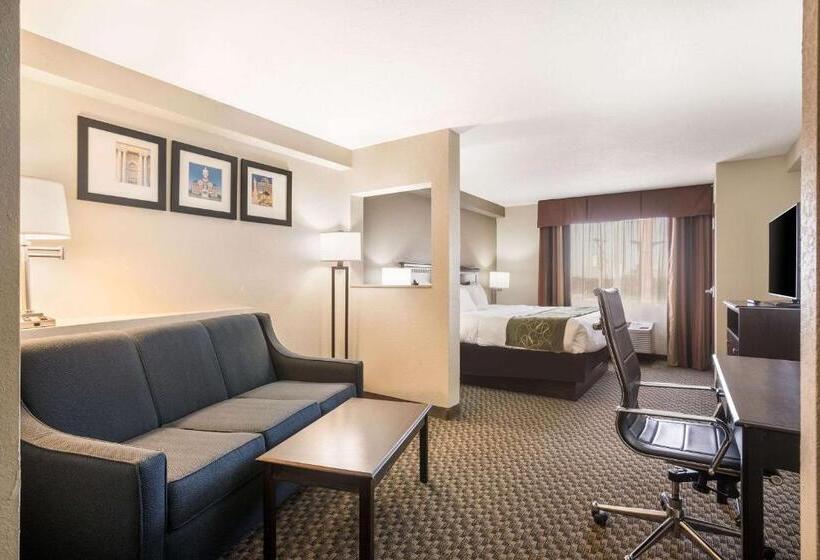 스위트 킹사이즈 침대, Comfort Suites Forsyth Near I75