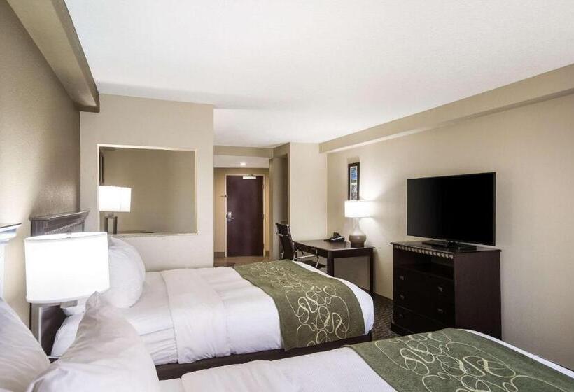스위트, Comfort Suites Forsyth Near I75