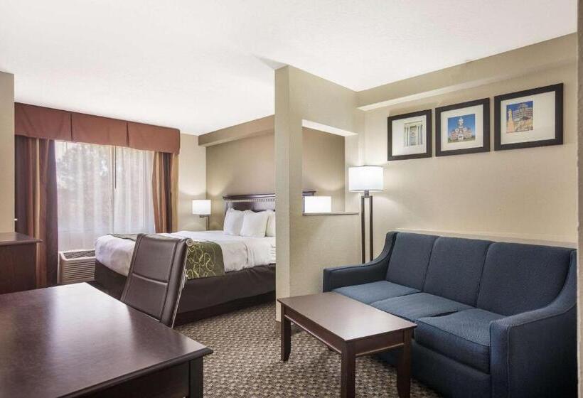장애인을 위한 스위트, Comfort Suites Forsyth Near I75