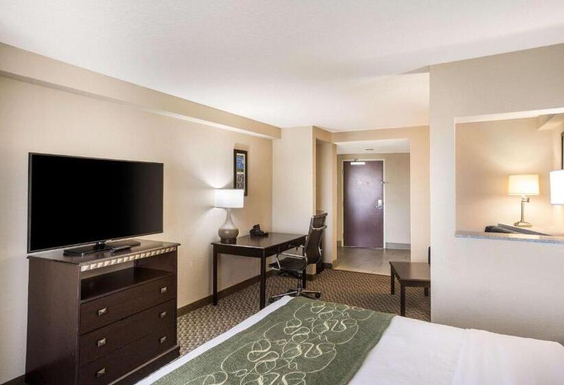 장애인을 위한 스위트, Comfort Suites Forsyth Near I75