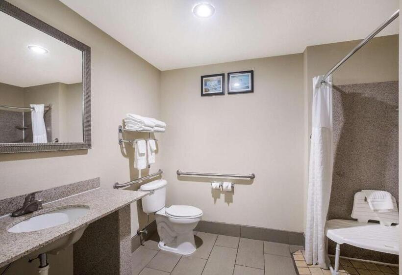 장애인을 위한 스위트, Comfort Suites Forsyth Near I75