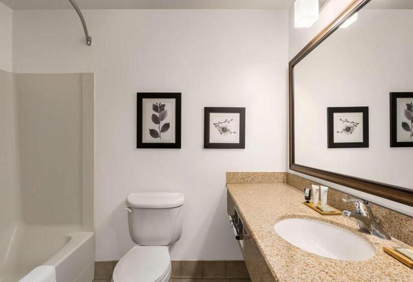 스위트 킹사이즈 침대, Country Inn & Suites By Radisson, Boise West   Meridian