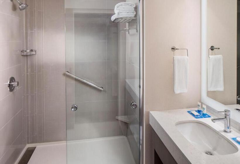 장애인을 위한 킹사이즈 침대 스탠다드 룸, Courtyard Jacksonville Orange Park