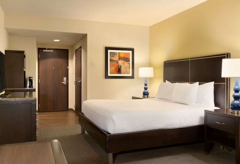 اتاق استاندارد, Hilton Garden Inn Houston Nw America Plaza