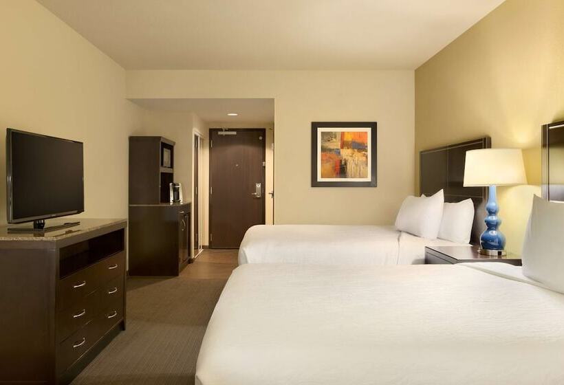 اتاق استاندارد برای معلولان, Hilton Garden Inn Houston Nw America Plaza