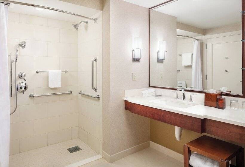 带城市景观的优质房间, Milwaukee Marriott Downtown