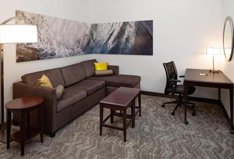 스위트 킹사이즈 침대, Springhill Suites By Marriott Ardmore