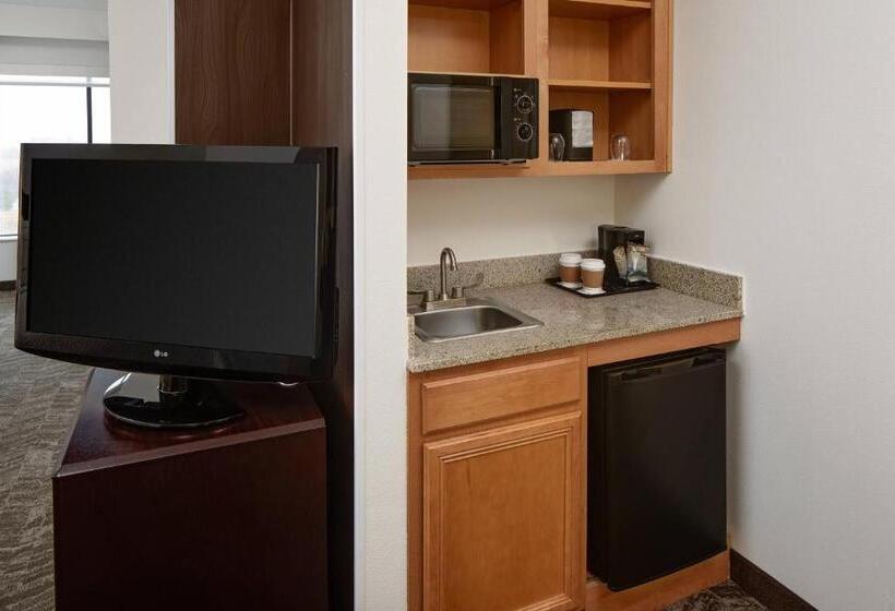 스위트, Springhill Suites By Marriott Ardmore