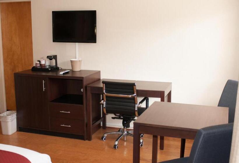 장애인을 위한 킹사이즈 침대 스탠다드 룸, Cambria Palms Motel