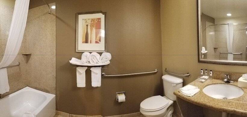 Люкс Адаптированный для Инвалидов, Seffner Inn And Suites