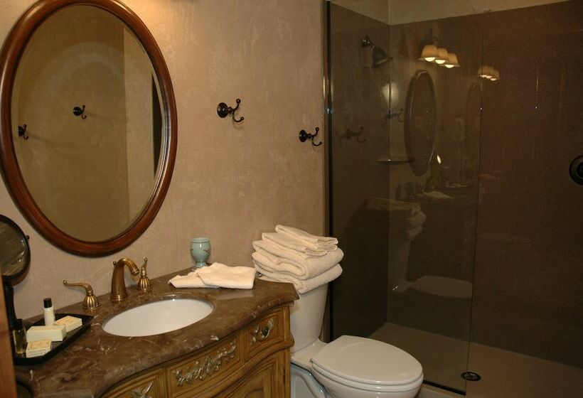 اتاق استاندارد با تخت دوبل, Chateau Chamonix