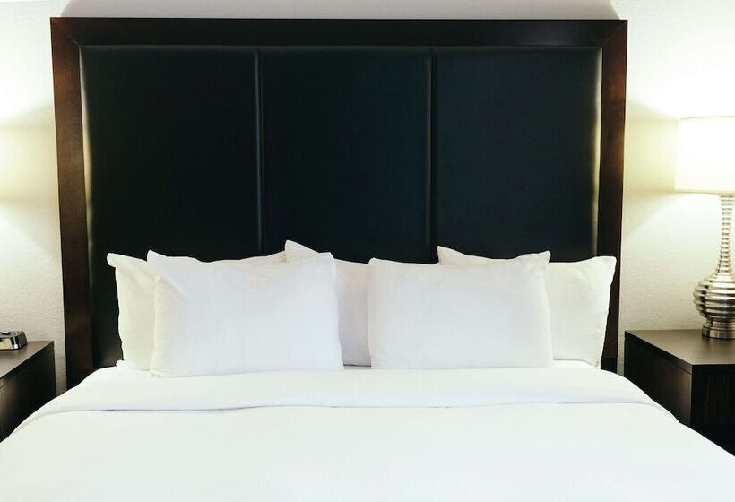 اتاق استاندارد, Hilton Garden Inn Des Moines Airport