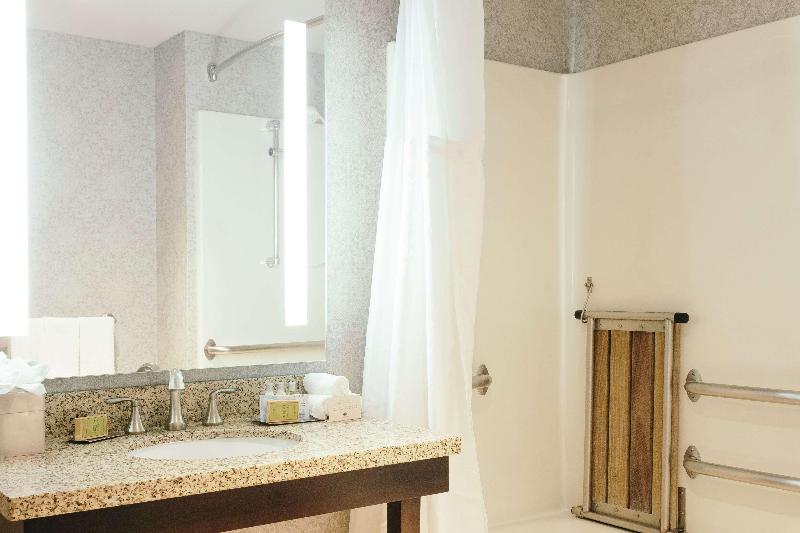 اتاق استاندارد با تخت بزرگ, Hilton Garden Inn Des Moines Airport