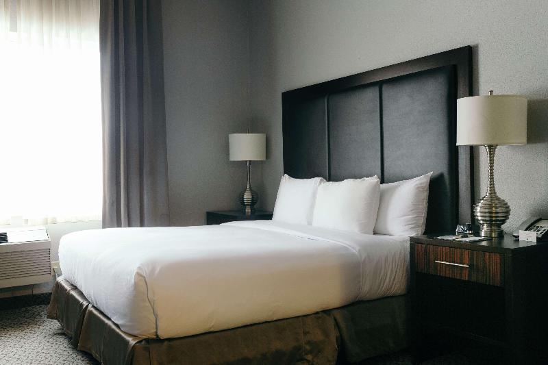 اتاق استاندارد با تخت بزرگ, Hilton Garden Inn Des Moines Airport