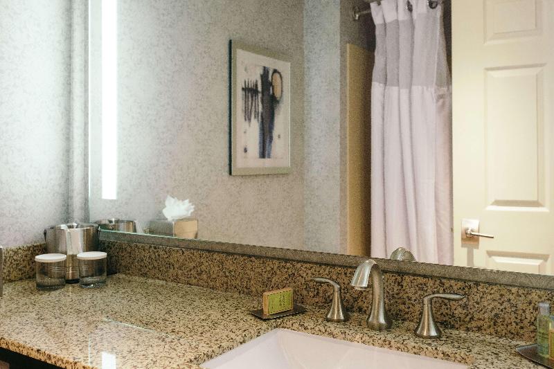 اتاق استاندارد با تخت بزرگ, Hilton Garden Inn Des Moines Airport