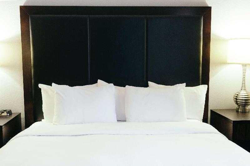 اتاق استاندارد با تخت بزرگ, Hilton Garden Inn Des Moines Airport
