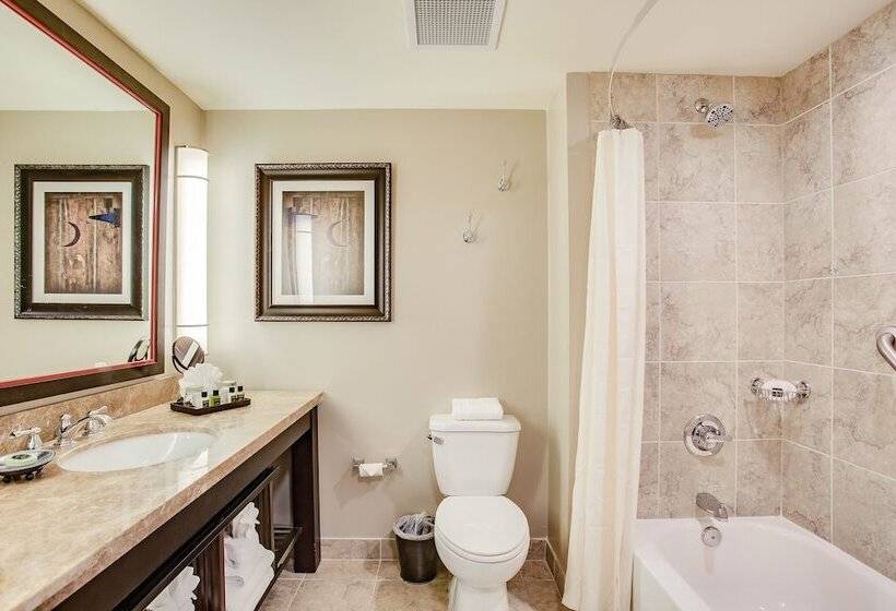 חדר אקזקיוטיב, Overton Hotel And Conference Center