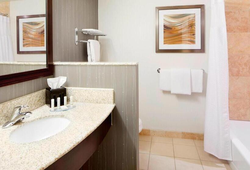 غرفة قياسية لذوى الاحتياجات الخاصة, Courtyard Pittsburgh Settlers Ridge/robinson Township