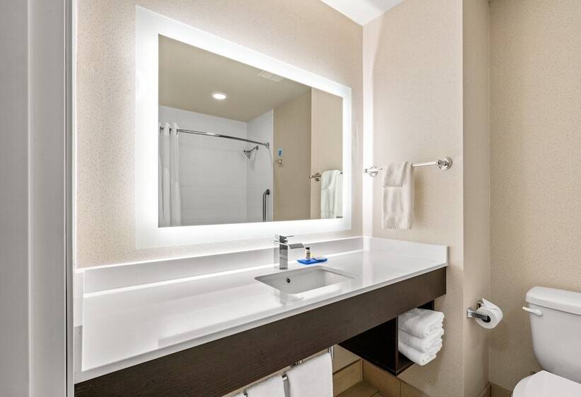 Люкс Адаптированный для Инвалидов, Holiday Inn Express & Suites Klamath Falls Central, An Ihg