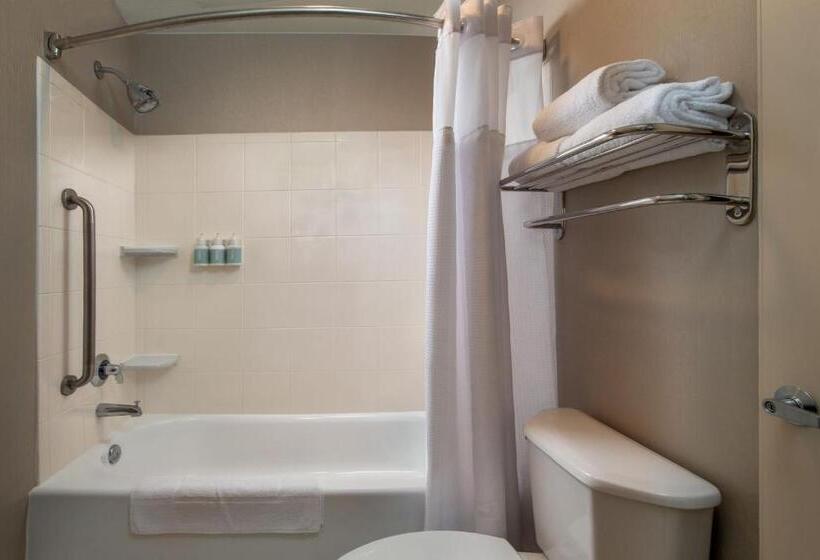 Люкс, Springhill Suites Hagerstown