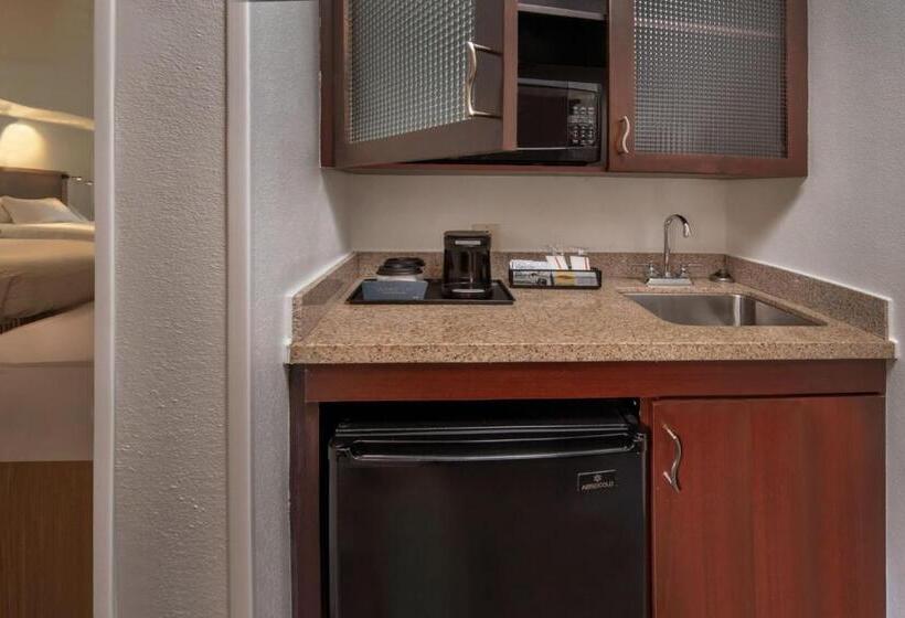 Люкс, Springhill Suites Hagerstown