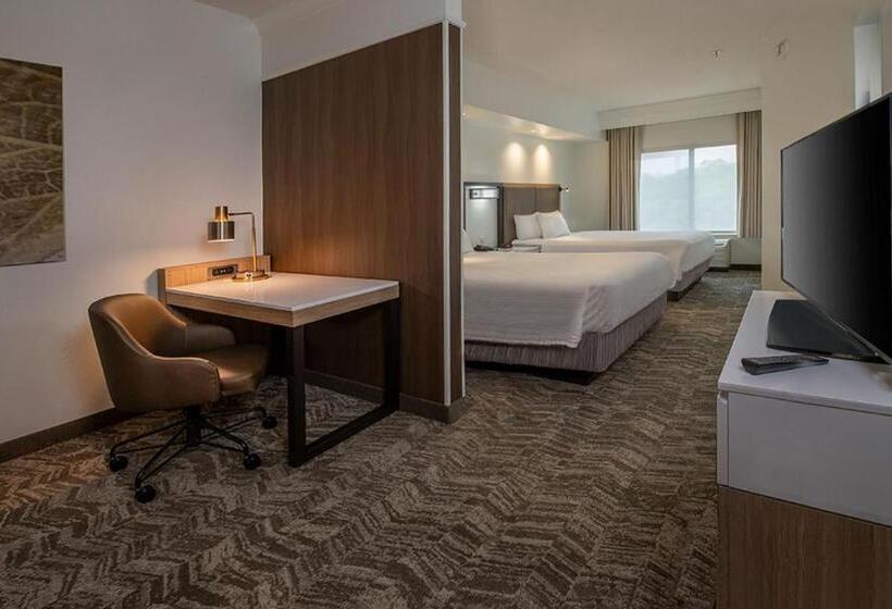 Люкс, Springhill Suites Hagerstown