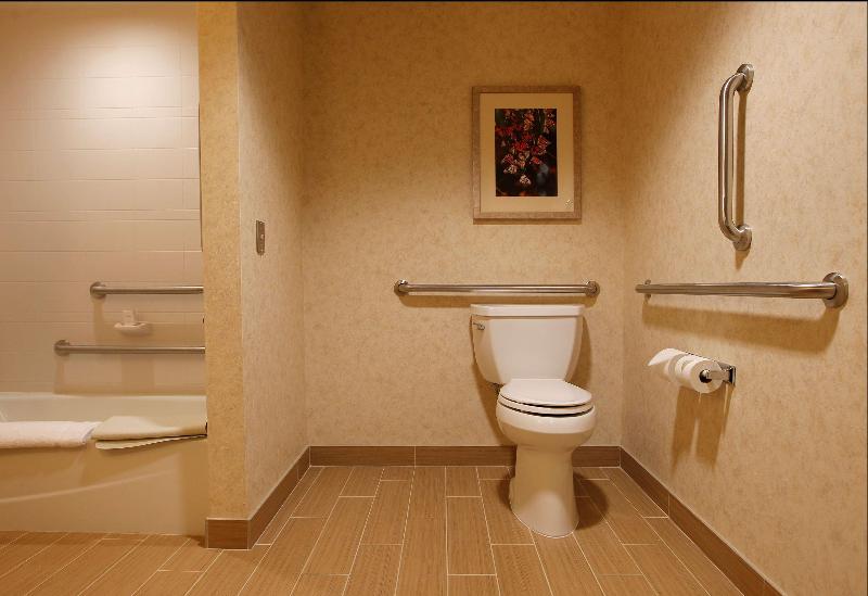 스탠다드 룸 킹사이즈 침대, Hilton Garden Inn Cedar Falls